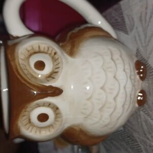 World Market Peak a Boo Owl Mug